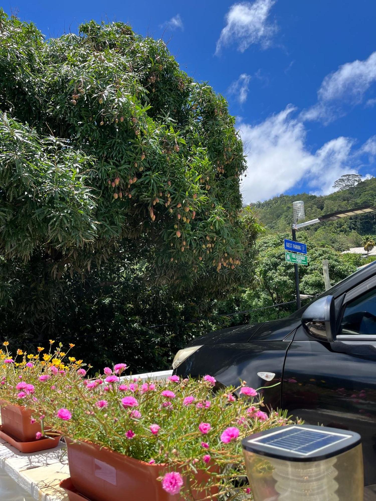360 Degrees Villa Victoria Exterior foto
